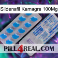 Sildenafil Kamagra 100Mg new15